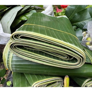 Hojas de Plátano Naturales Congeladas para Envolver Alimentos |   Hojas de plátano verdes envasadas al vacío de Vietnam |   Anna – Viet Delta - Product Image 1