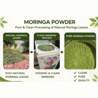 Bubuk Daun Moringa Premium OEM ODM 100% Murni & Alami Berkualitas Tinggi untuk Smoothie, Teh & Kesehatan Sehari-hari