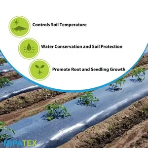 Film de paillage agricole de grande taille LLDPE, marque CRADLE of LIFE, de OJISHTHA INDUSTRIES - Product Image 4