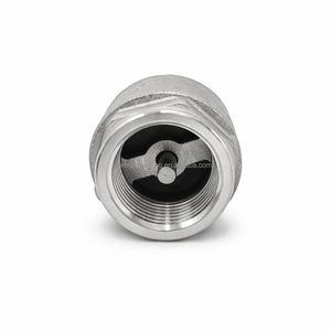 Clapet anti-retour à ressort en acier inoxydable de 1 pouce, fileté FNPT, pour système d'eau - Product Image 3