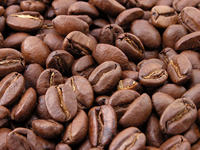 Café moulu 50% Robusta 50% Arabica, sachet de 250g, torréfaction italienne, espresso premium, goût doux, caféiné, Dalakon Tay Nguyen