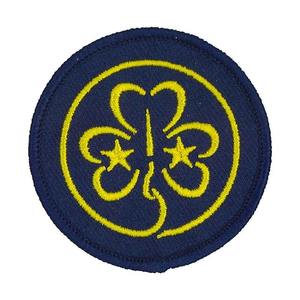 Écusson brodé personnalisé pour chien d'assistance, patch ESA personnalisé, badge thermocollant ou à coudre pour harnais, gilet, vêtements, fabricant OEM - Product Image 6