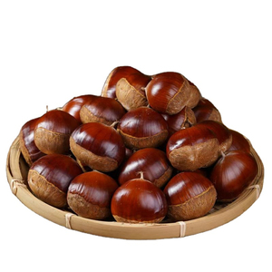 Marrons frais chinois de qualité supérieure, marrons sucrés bruts de plusieurs tailles pour la vente en gros - Product Image 1