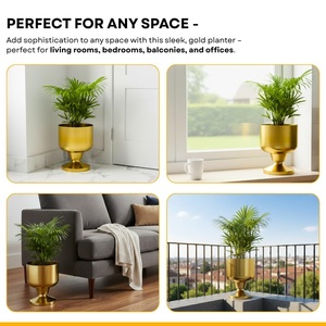 Jardinière en fer de qualité supérieure, finition dorée, pour la décoration intérieure et extérieure, exportation mondiale depuis l'Inde - Product Image 6