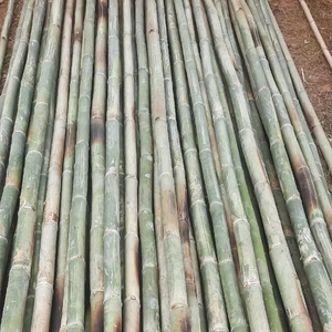 Matériaux en bambou naturel du Vietnam pour la construction, la conception de meubles, les structures extérieures, l'aménagement paysager et l'utilisation décorative - Product Image 1