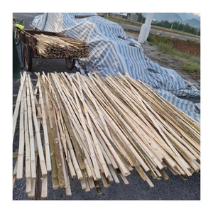 Bande de bambou naturel séché du Vietnam, matériau brut pour l'artisanat, le tressage, les paniers, les plateaux et les nattes, vente en gros 99 Gold Data - Product Image 1