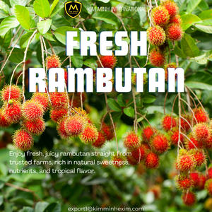 Rambutan Vietnamita Fresco de Alta Calidad _ Fruta Tropical de Grado de Exportación para Compradores B2B - Product Image 2