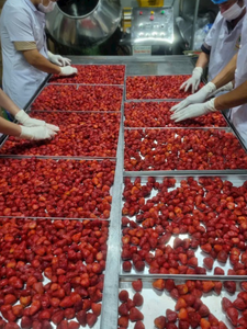 99 GD Fresas Enteras Liofilizadas, Snack Crujiente, Súper Dulce, Sabor Natural, Sin Azúcar, Enlatado, Paquete de 1kg y Personalizable - Product Image 5