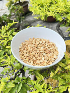 Fournisseur de cacahuètes blanchies du Vietnam, cacahuètes grillées sans peau, en vrac, OEM, export sur mesure - Product Image 6