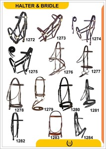 Euro Cavall - Juego de Correa para Caballo con Cinta de PP Ecológica de 25 mm de Ancho, con Ojal Metálico y Almohadilla de Felpa, Estilo Western - Product Image 6