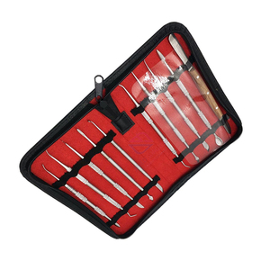 Kit de 10 Herramientas de Limpieza Dental Reutilizables de Acero Inoxidable de Alta Calidad de ROBOZ TECH - Product Image 4