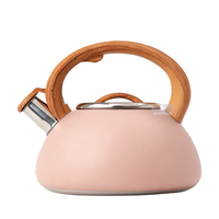 Bouilloire à thé sifflante en acier inoxydable avec revêtement de couleur personnalisé, pour cuisinière, pour la maison et la cuisine