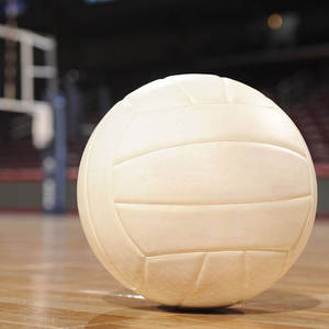 Red de Voleibol Profesional Resistente y Juego de Balones de Alta Calidad para Entrenamiento y Partidos, Kit de Equipamiento Deportivo para Interiores y Exteriores - Product Image 4