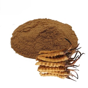 Extracto de Cordyceps Militaris de Alta Calidad 10:1 en Polvo, 100% Natural, Polvo Herbal de Cordyceps Militaris para Energía y Resistencia Diarias - Product Image 2