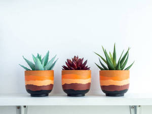 Pot rond en argile décoratif pour la maison, couleur noire, vases en céramique et en terre cuite pour la décoration de la maison et la décoration de table - Product Image 5