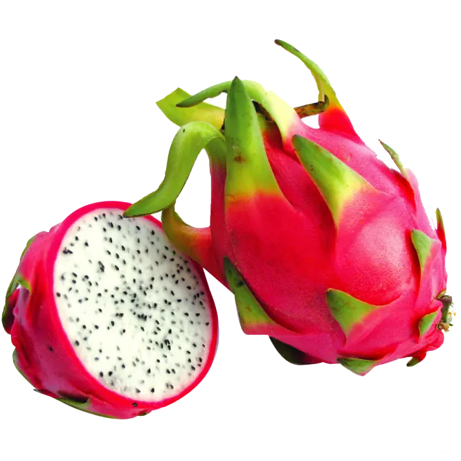 Good For Health Farm Price Organic Wholesale new arrival 2022 Red Dragon Fruit Made In Vietnam Fresh Fruit for Sale