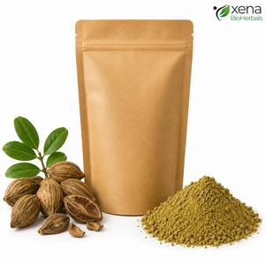 Fournisseur Professionnel d'Herbes Médicinales : Poudre de Terminalia Chebula, Matière Première Standardisée pour Formulations Ayurvédiques, Vente en Gros - Product Image 3