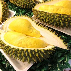 Durian fresco premium de Vietnam |   Proveedor Mayorista de Productos de Calidad de Exportación - Product Image 3