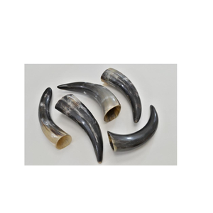 Buffalo <b>Drinking</b> <b>Horn</b> Different Size Shiny Polished Custom logo Best Selling Cow Viking <b>Drinking</b> <b>Horn</b> - Product Image 3