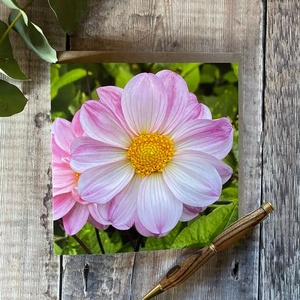 Modern Luxury Design Eco-Friendly 400mm Square Wood & Meena Tea Coaster Handmade Anti-Heat the Handmade Collection - Product Image 1