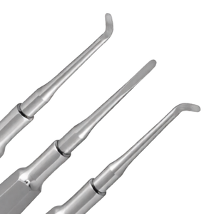 Juego de 3 Elevadores Dentales Warwick James, Rectos, Izquierdos y Derechos, Instrumentos Quirúrgicos de Extracción Dental de Acero Inoxidable - Product Image 5