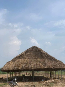 Fabricant vietnamien de housses de parasol pliables en chaume naturel de 2,1 m pour terrasse extérieure, fournisseur en gros - Product Image 5