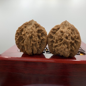 Galaxy Three-Ridge Walnut Raw Feng Shui, Adorno de Mano Coleccionable de Estilo Religioso Angelical, de Forma Ovalada, Cultivado Naturalmente en Concha - Product Image 2