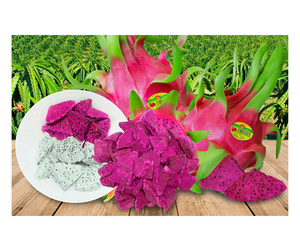 Yaourt lyophilisé saveur fruits mélangés, directement de l'usine du Vietnam - Fruits tropicaux croustillants pour le marché de détail - Product Image 6