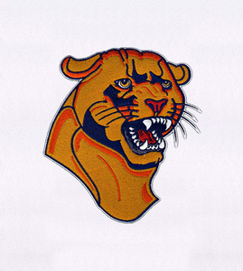 Custom Embroidery Patch for Team Branding <b>Hats</b> Jackets <b>Bags</b> Durable Identity Logo Patch Professional Supply - Product Image 4