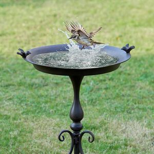Baño para Pájaros de Metal Decorativo Personalizable para Patio, Jardín y Césped, para Actividades Diarias de Alimentación con Agua de Aves Pequeñas - Product Image 3
