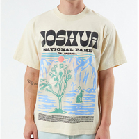 T-shirt imprimé graphique pour hommes en gros, col rond en coton doux, vêtements décontractés, design personnalisé, streetwear tendance