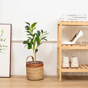 Venta al por mayor de cestas de almacenamiento para decoración del hogar, maceta colgante de algas marinas con revestimiento de plástico en el interior - Product Image 1