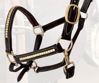 Cabestro para Caballo Clincher HM GLOBAL DD de Cuero con Adornos de Latón Dorado, Piezas para las Mejillas y Narigueira con Acolchado Suave, Duradero, Cómodo y Elegante