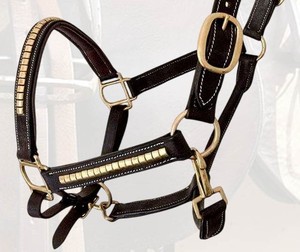 Clincher Horse <b>Halter</b> DD Leather Gold Brass Studded Cheek Pieces & Noseband Soft Padding Durable Comfortable Equestrian Use - Product Image 3