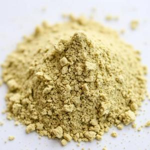 Best Organic Food-Grade Fucus Vesiculosus (Bladderwrack) Powder Pure Natural Herbal <b>Extract</b> for Skin Care Drum Packaging - Product Image 1