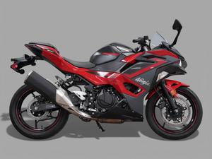 Motocicleta de fábrica en venta 2024 Kawasaki Ninja 500 ABS - Product Image 5