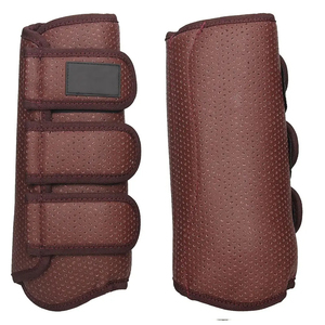 Protège-tendons en maille respirante pour chevaux – Confortables, multifonctionnels et fiables pour l'équitation - Product Image 5