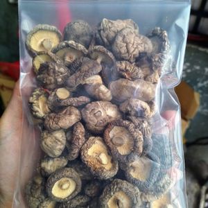 CHAMPIGNONS SHIITAKE ENTIERS SÉCHÉS EN VRAC DE HAUTE QUALITÉ VENTE EN GROS - Product Image 4