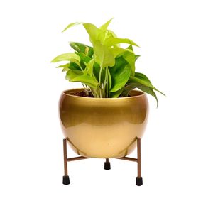 Pot de fleurs en métal avec support pour plantes pour salon, balcon, jardin, intérieur, extérieur, conteneur pour plantes, pot de fleurs décoratif moderne - Product Image 6