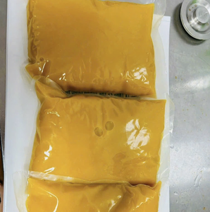 Purée de mangue surgelée, matière première pour la préparation de yaourts et la garniture de pâtisseries, offrant une saveur vibrante, provenant du Vietnam. - Product Image 6