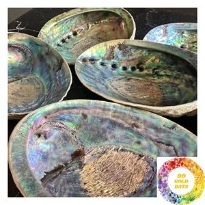 Matériel artisanal en coquille d'ormeau pour la mosaïque, projets décoratifs, produits faits à la main, découpe et design sur mesure - Product Image 6