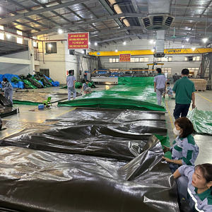 Bâche en PE verte durable, haute résistance, grande capacité, tailles et couleurs personnalisables pour la protection extérieure - Product Image 6