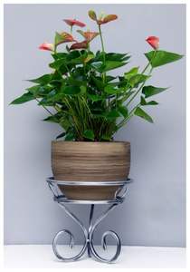 Support de suspension pour plantes en fer résistant aux intempéries, conçu pour une utilisation en extérieur toute l'année. - Product Image 4