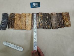 Piezas de Cuerno de Carnero Natural Premium para Fabricación de Mangos de Cuchillos, Material de Calidad para Exportación a Granel - Product Image 5