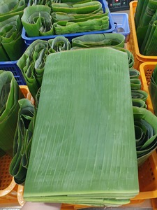 ใบตองแช่แข็งแบบทั้งใบ ตัดสะอาดจากเวียดนาม ราคาดีที่สุดสำหรับขายส่ง - Product Image 5