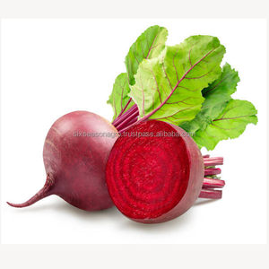 Remolacha Roja Fresca Premium, Calidad de Exportación, Proveedor Mayorista de Remolacha Fresca de Granja de Bangladesh, Six Season Agro - Product Image 6