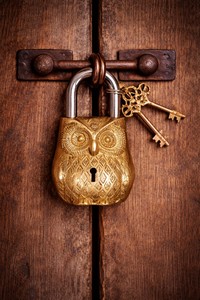 Owl Design Golden Functional Brass Lock with 2 Keys Handcrafted Decorative <b>Padlock</b> Vintage Security Lock for Home Gift - Product Image 4