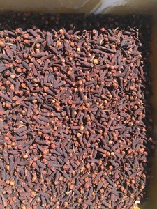 Clavo orgánico - Product Image 4