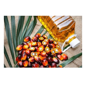 Huile de palme raffinée pour la cuisine quotidienne, huile de palme issue de fruits de palme, fabriquée en Indonésie, huile de cuisson de qualité supérieure, pureté 99 %. - Product Image 6