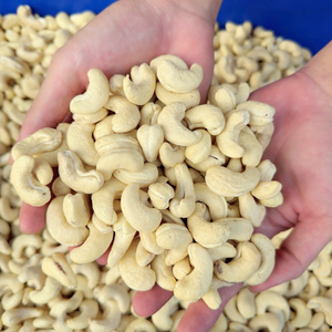 ถั่วเม็ดมะม่วงหิมพานต์แบบพรีเมียม ISO, HACCP Kaju badam santigo - Product Image 5